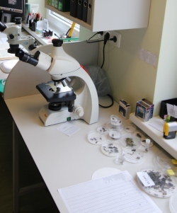 Laboratorijā uz galda stāv mikroskops