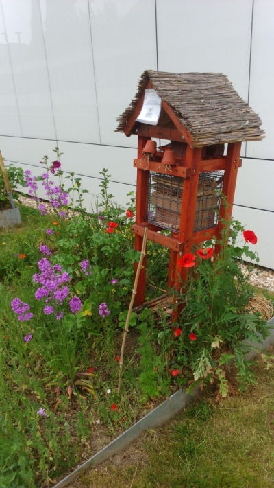 Koka mājiņa ar dažādiem koka, salmu un māla materiāliem, kurā var ziemot kukaiņi un ziedoši augi visapkārt.