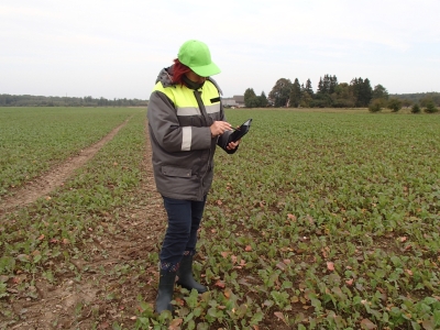 Cilvēks stāv sadīgušā rapšu laukā turot rokās planšeti