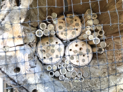 Koka mājiņa ar dažādiem koka, salmu un māla materiāliem, kurā var ziemot kukaiņi.