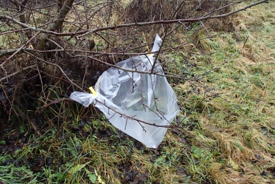 Caurspīdīgs maiss, kas piestiprināts divās vietās pie zara, un veido atvērtas piltuves formu