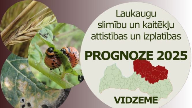 Laukaugu slimību un kaitēkļu attīstības un izplatības prognoze Vidzemes reģionam 2025 gadam