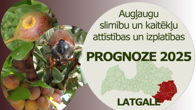 Augļaugu slimību un kaitēkļu attīstības un izplatības prognoze 2025. gadam Latgales reģionam