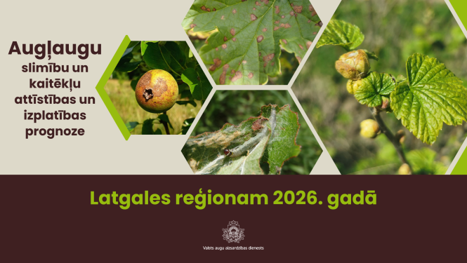 Augļaugu slimību un kaitēkļu attīstības un izplatības prognoze 2026. gadam Latgales reģionam