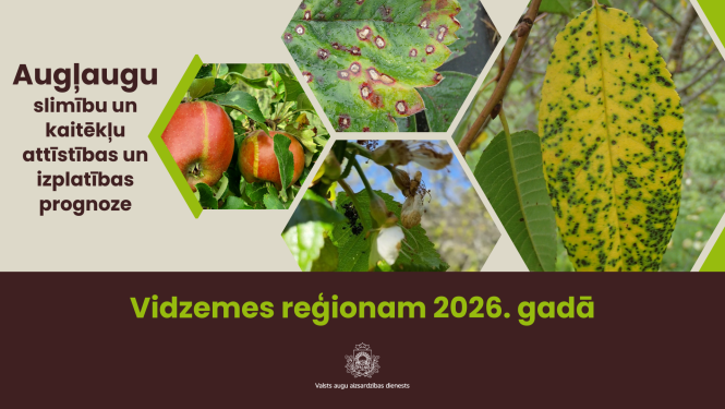  Augļaugu slimību un kaitēkļu attīstības un izplatības prognoze 2026. gadam Vidzemes reģionam