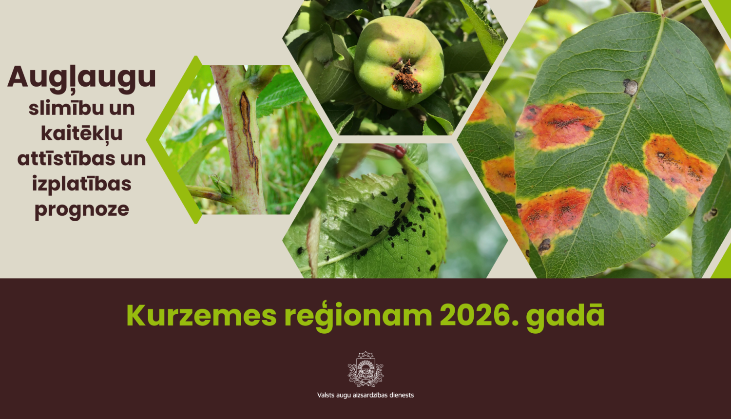 Augļaugu slimību un kaitēkļu attīstības un izplatības prognoze 2026. gadam Kurzemes reģionam